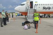 Аеропорту Бориспіль